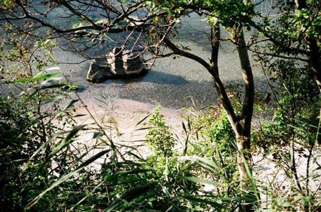 ヴィラ ヴィア ポンティカ ソゾポル エクステリア 写真